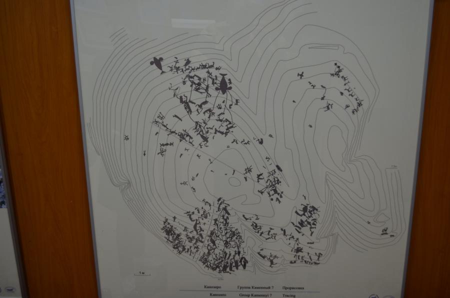 В музее петроглифов. Прорисовка петроглифов острова Скалистый на Канозере.