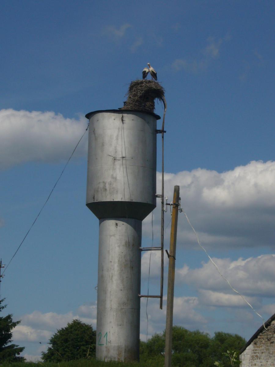 Парочка аистов на водонапорной башне