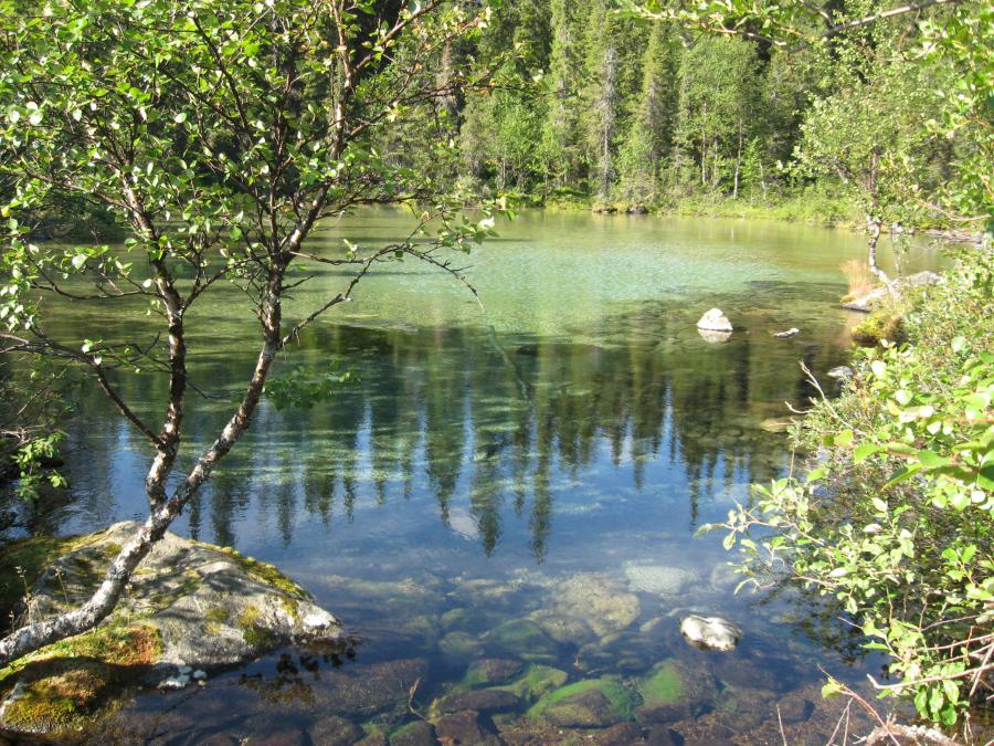 Еще одно малое озеро, примыкающее к Сейдозеру, некоторые называют его - следами Куйвы