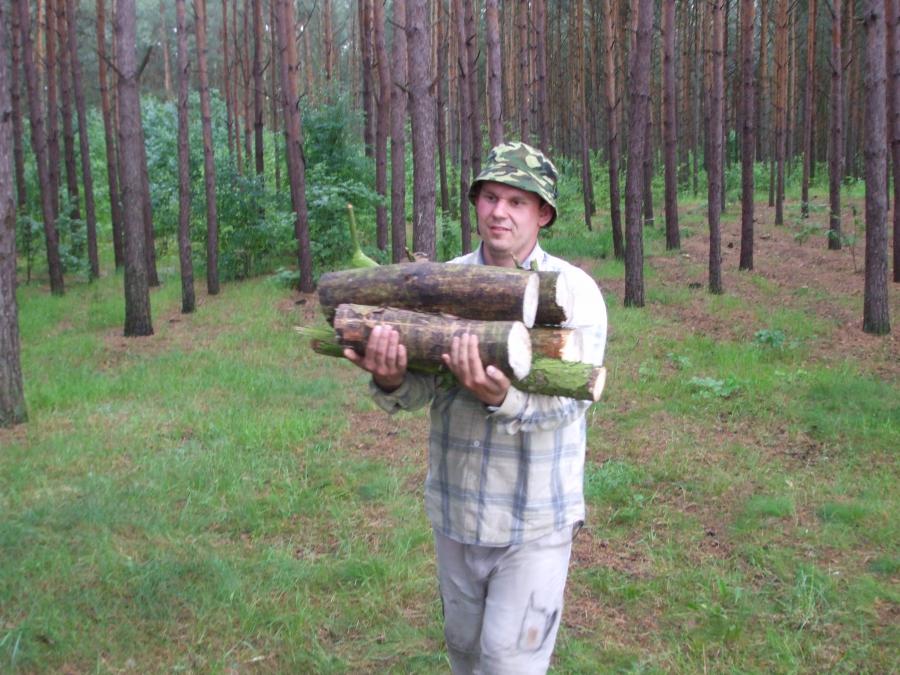 Вот так мы тренируем осанку.
