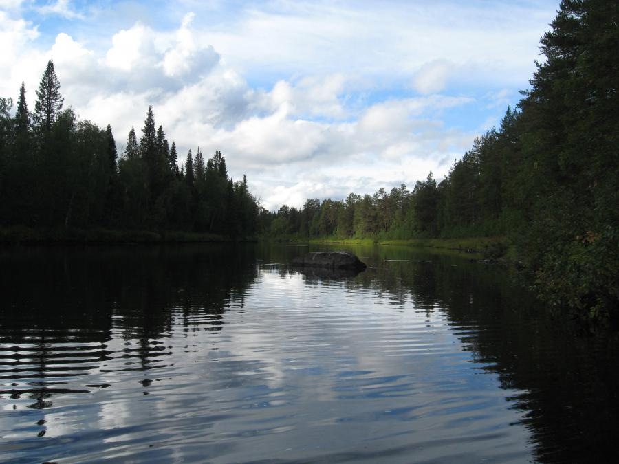Одиноко выступающие из воды каменные глыбы, придают особый колорит местному пейзажу.