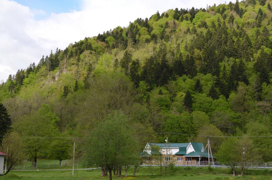 Красоты Гузерипля