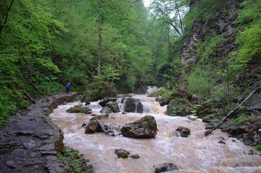 Тропа вдоль реки