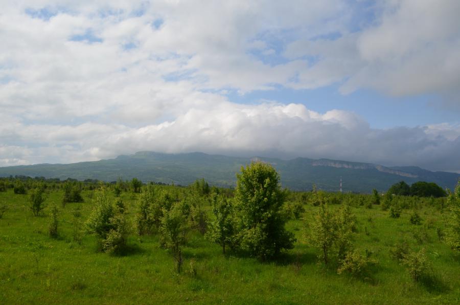 По дороге на Малую Лабу