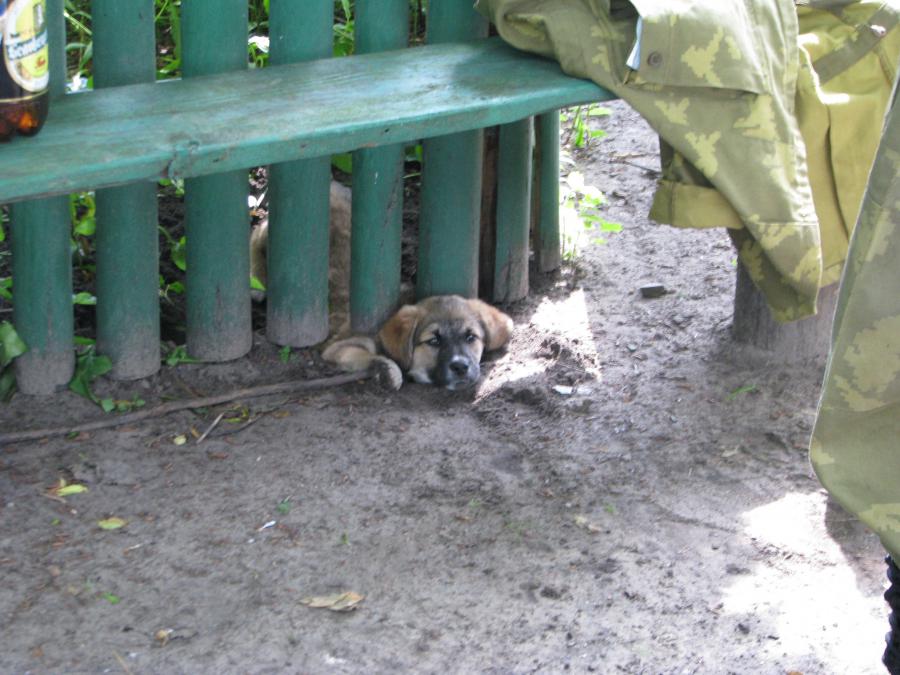 Будьте людьми, возьмите меня с собой
