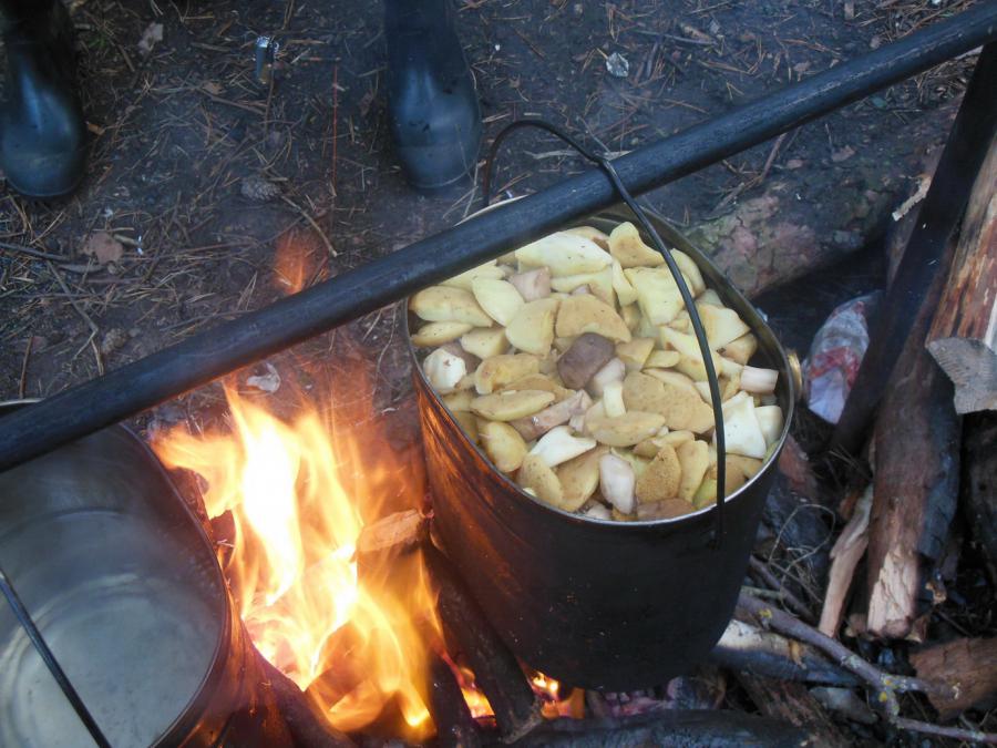 Маслята