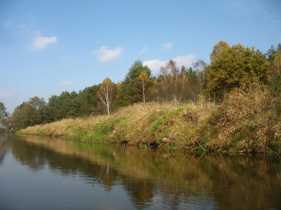 Без коментариев