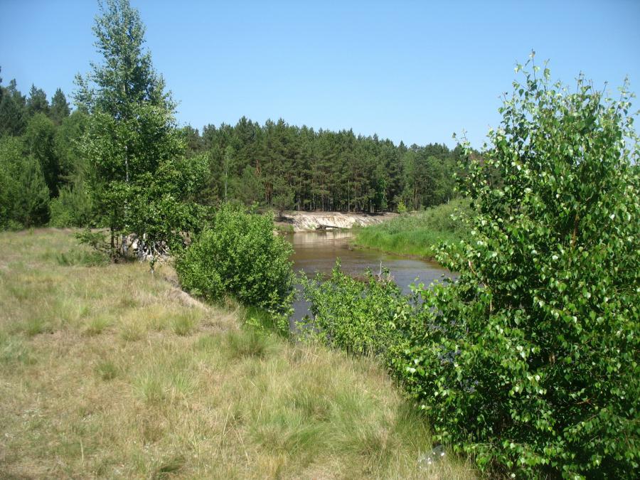 Очередная излучина