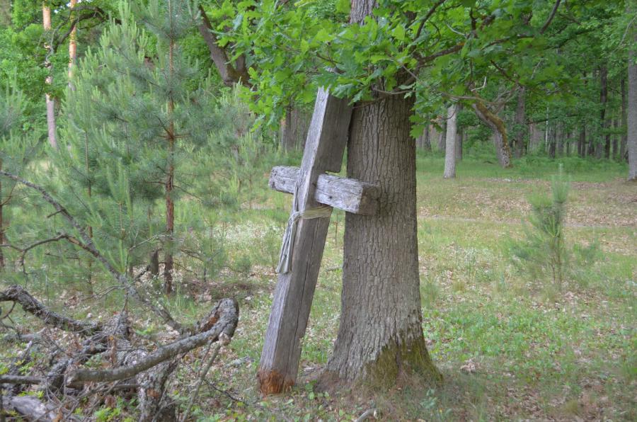 Крест на месте нашей первой стоянки. Кто и с какой целью его сюда приволок - остается загадкой