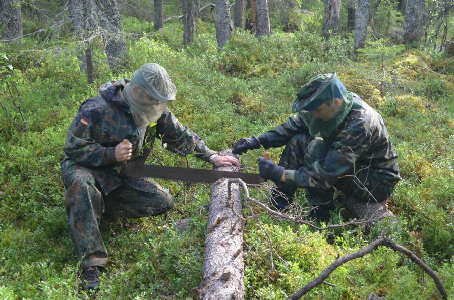 Заготовка дров для бани.