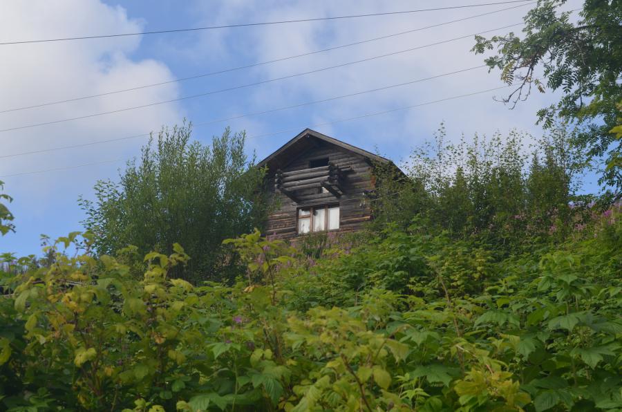 Без комментариев