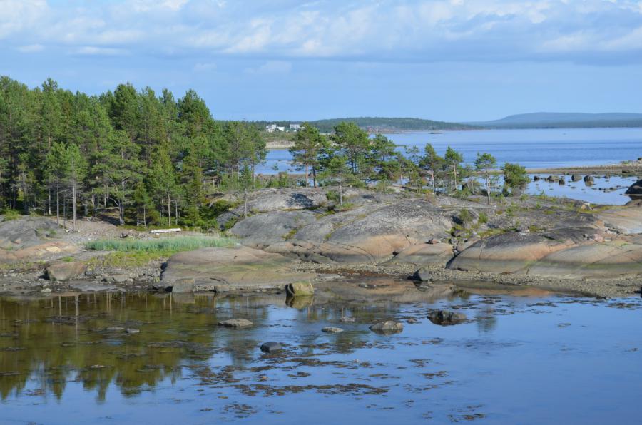 Берег Белого моря