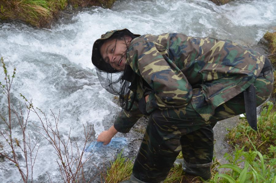 Забор воды из ручья происходит под строгим контролем стаи комаров