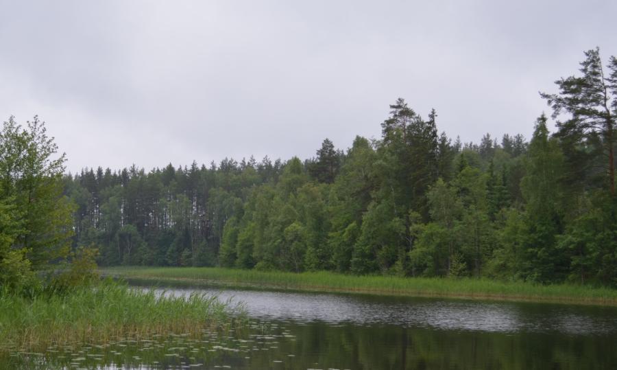 Вход в оз. Дрисса
