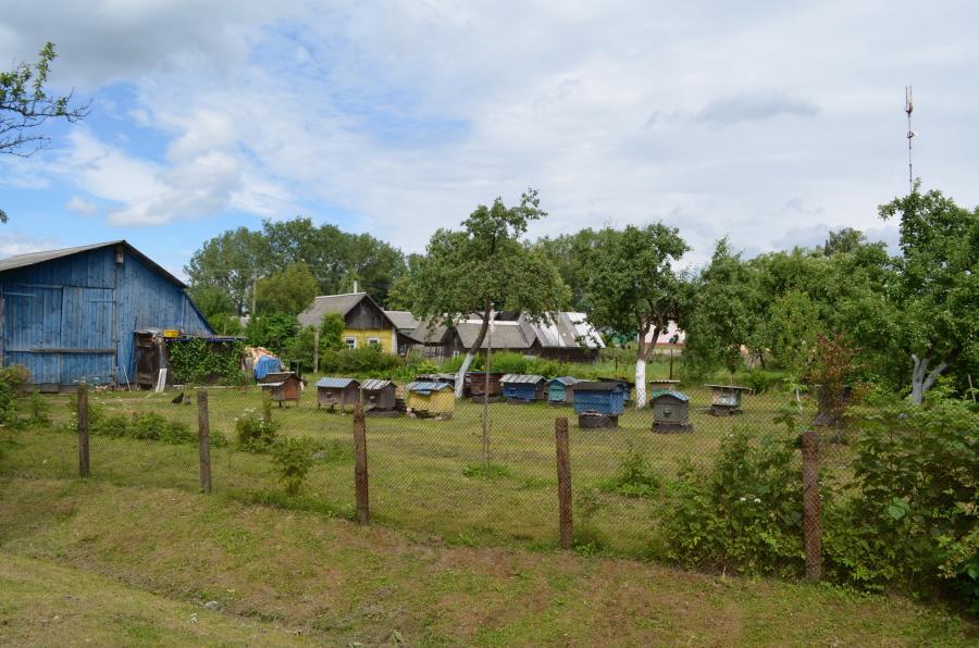 Деревенская пасека