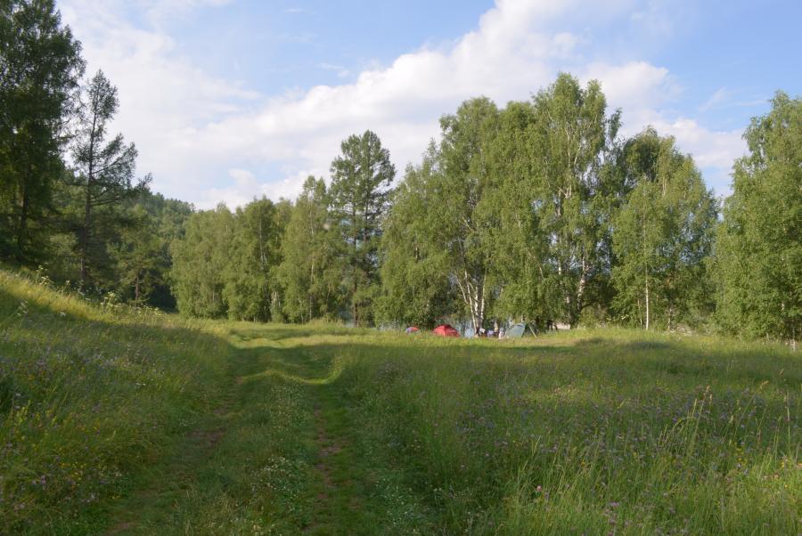 Наш первый лагерь на Катуни