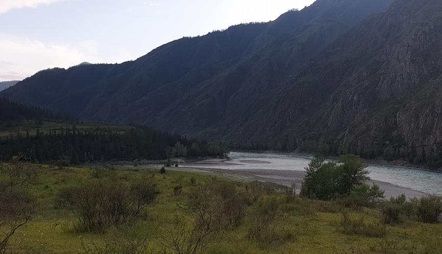 Устье р. Аргут