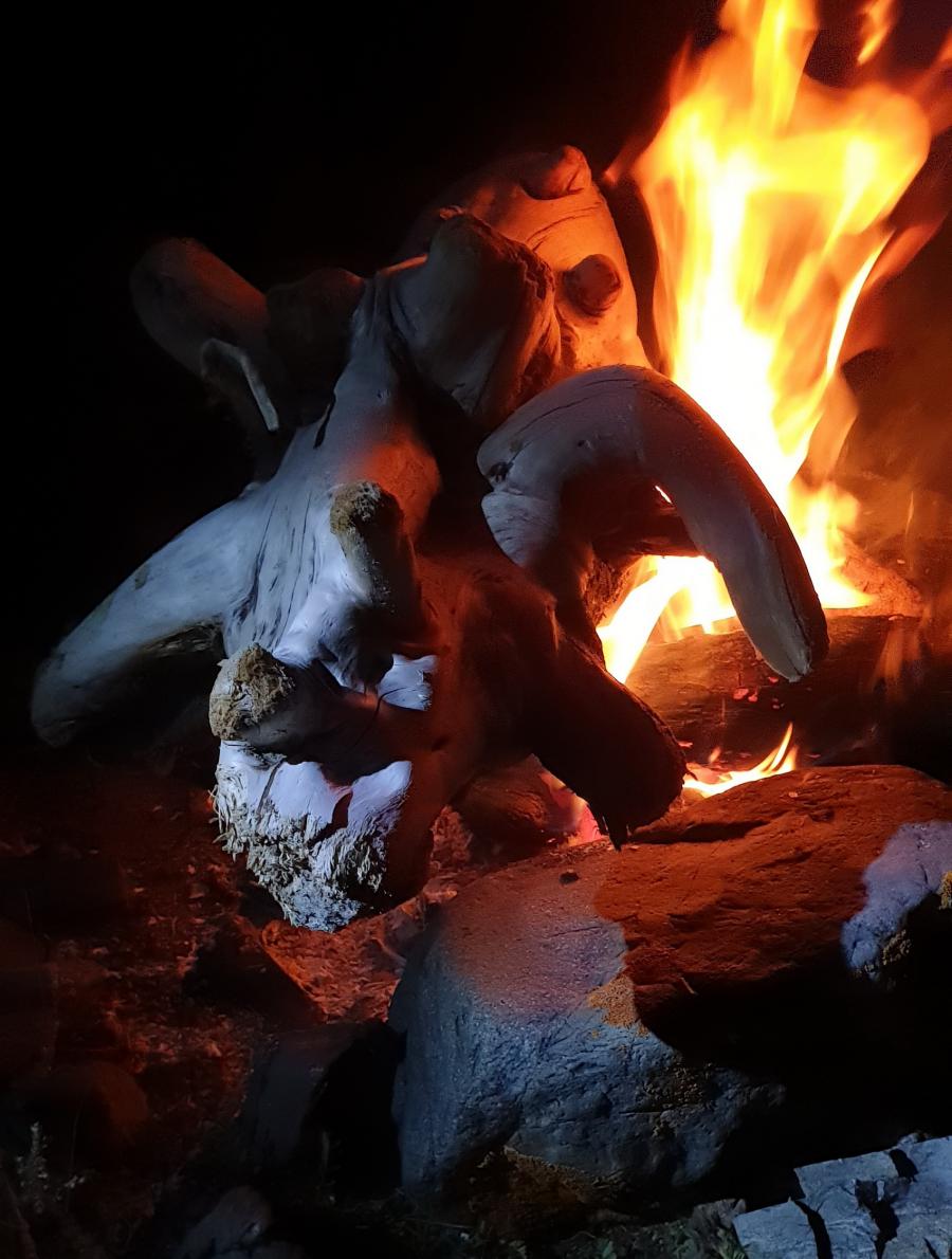 Демон из костра