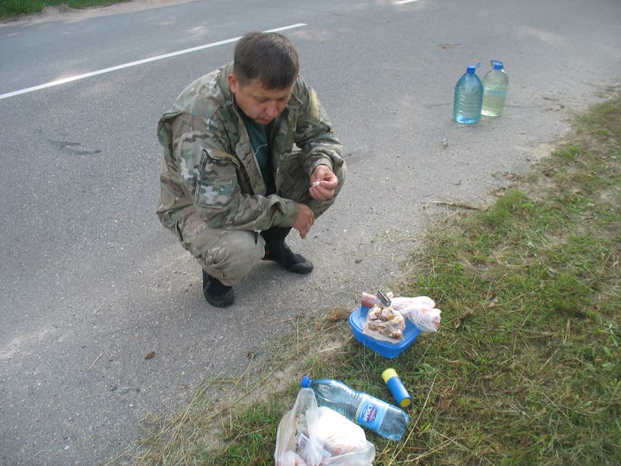 Пикник на обочине