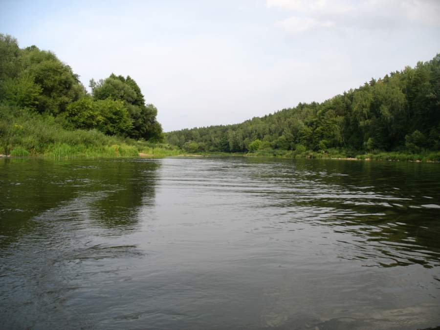 Нёман ниже Гродненской ГЭС