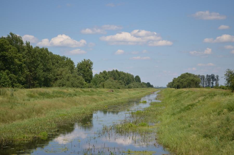 Без комментариев