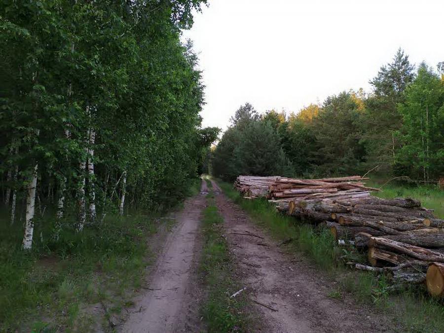 Дрова мы нашли быстро