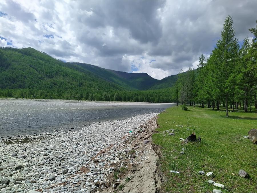 Без комментариев