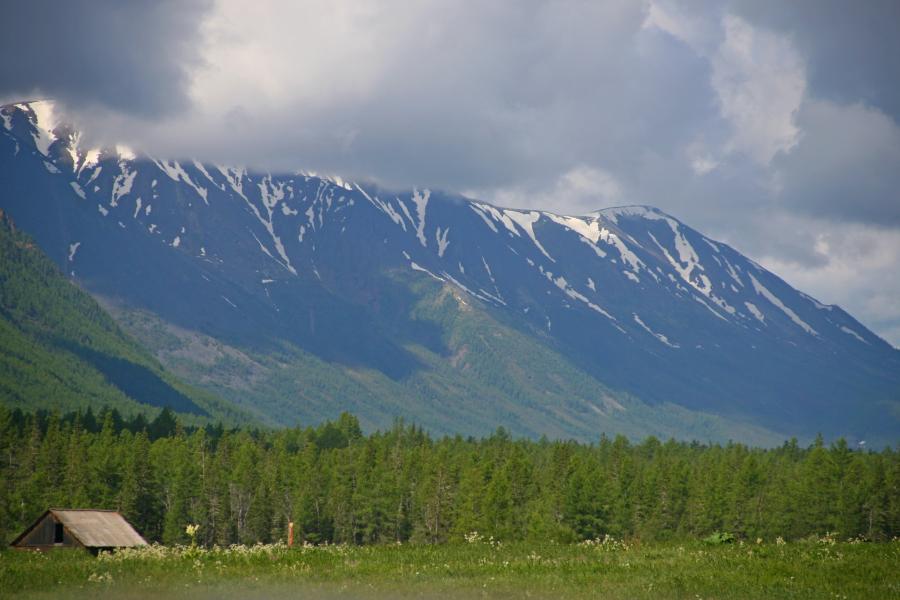 Без комментариев