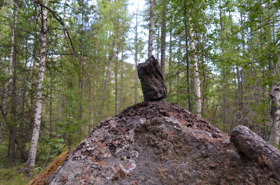 Дойдя до такого тотема, мы решили взять левее.