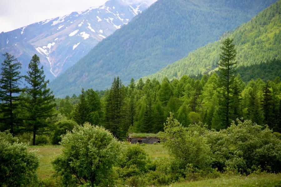 Без комментариев