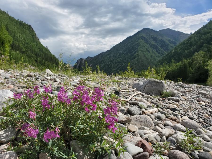 Без комментариев