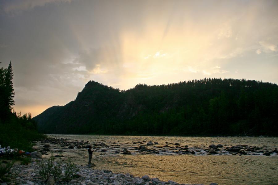 Без комментариев
