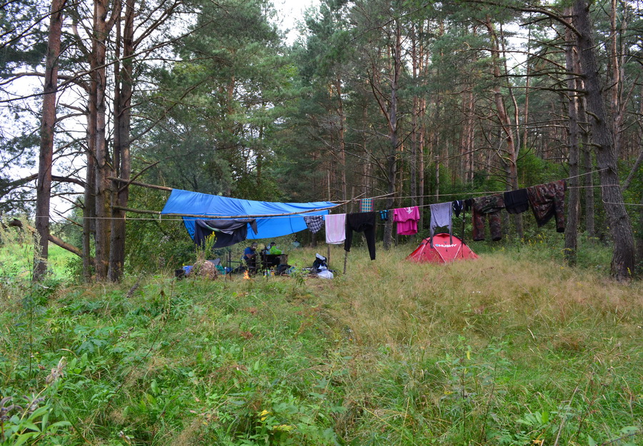 Без комментариев