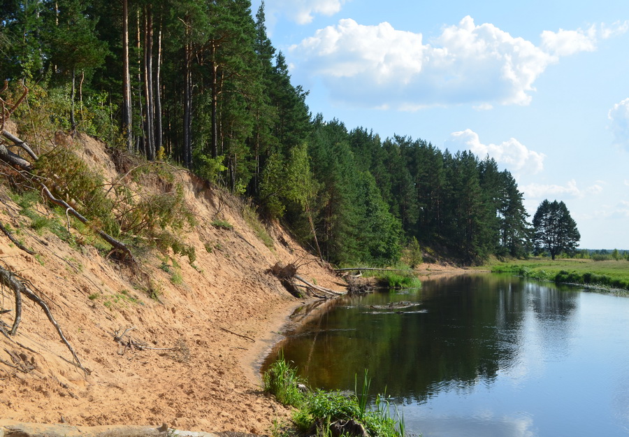 Без комментариев