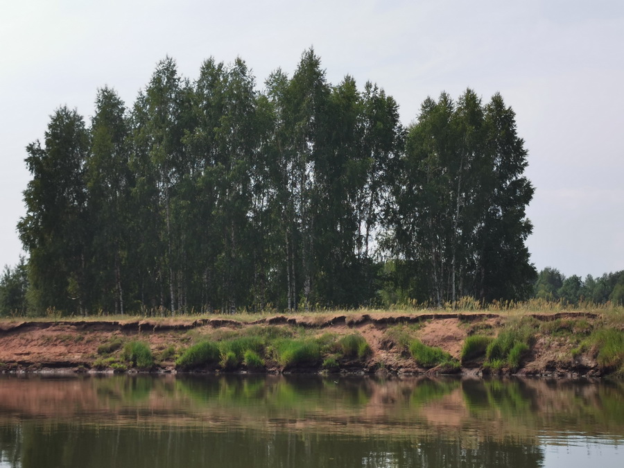 Без комментариев
