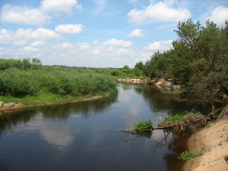 Вид с берега