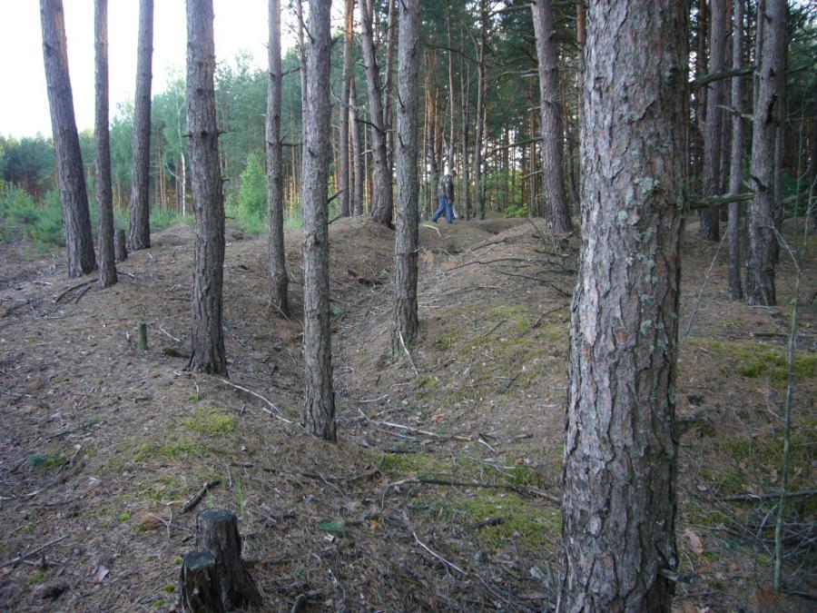 Окопы тянутся на несколько километров в одну и другую сторону. По крайней мере до их окончания 
никто из нас не дошел. 
