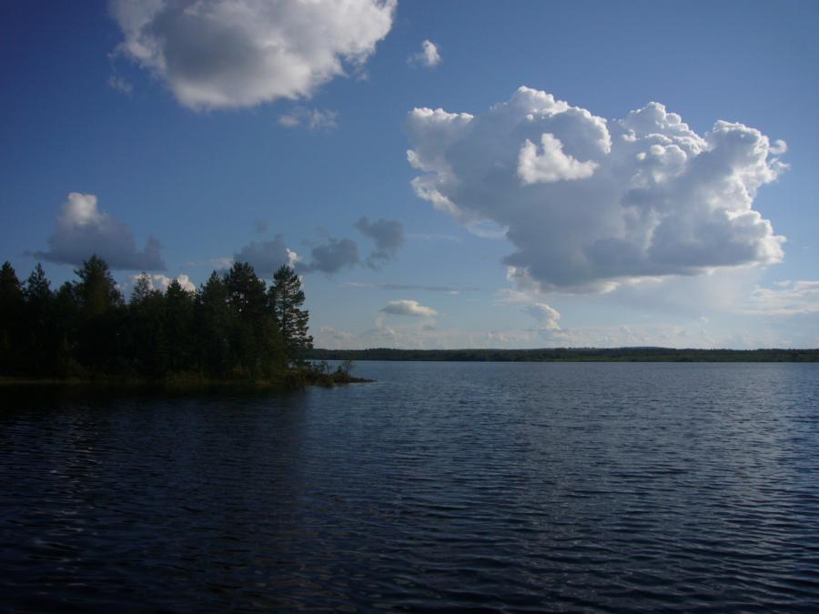 Без комментариев