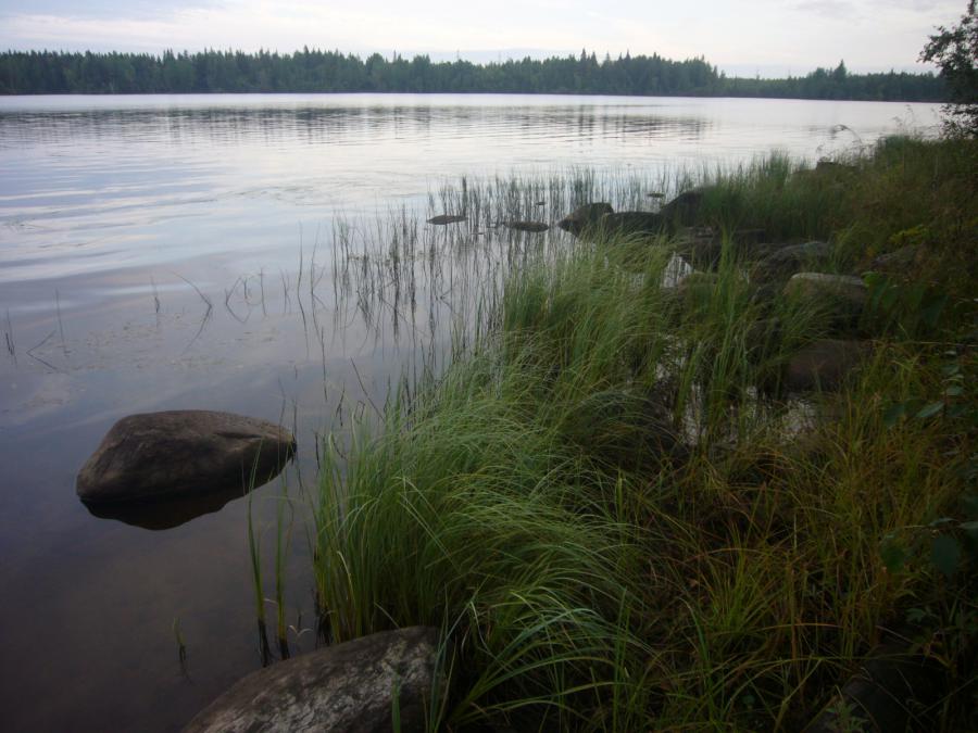 Берег