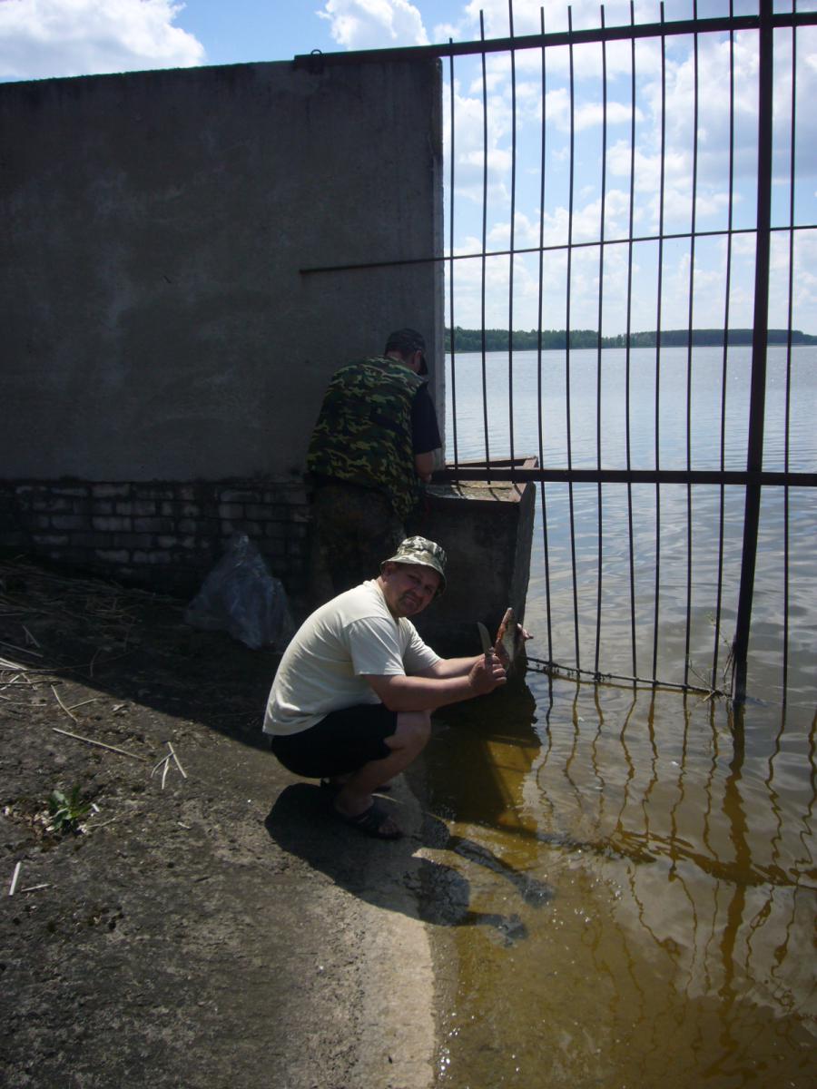Необходимо почистить и засолить рыбу, вынули из браконьерских сетей, чтобы не пропала.