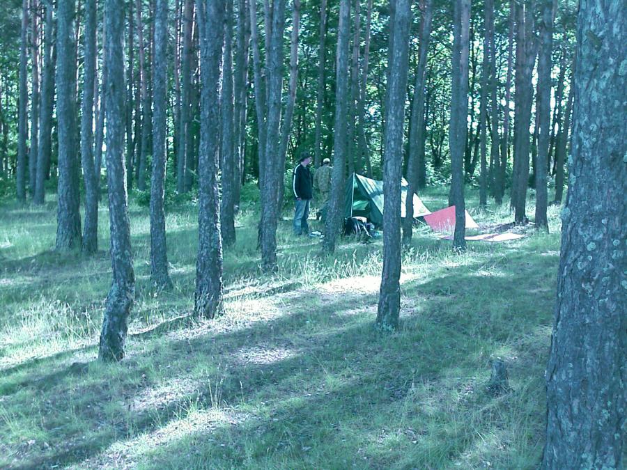 Валик и Серёга основательно готовят себе газовую камеру. Нет ничего лучше при проветривании запустить комаров, а когда ложиться спать потравить их дихлофосом, ну и себя заодно