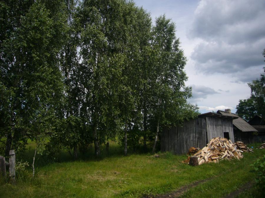 Сельские пейзажи