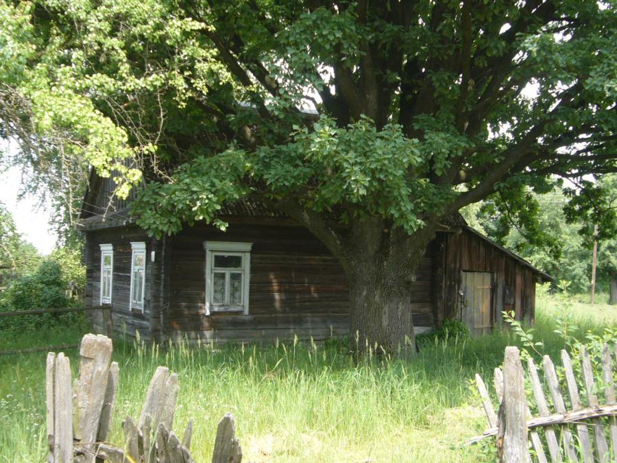 Сельский домик, используемый под склад