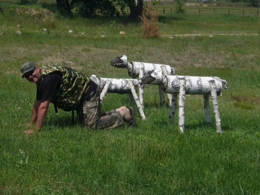 Вожак всегда впереди...