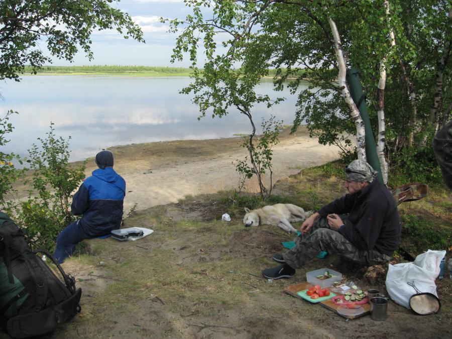 Ну вот, собаку накормил, теперь и сам могу спокойно перекусить